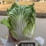 烈日金刚大白菜种子夏播耐热耐湿耐高温夏秋包心白菜种籽