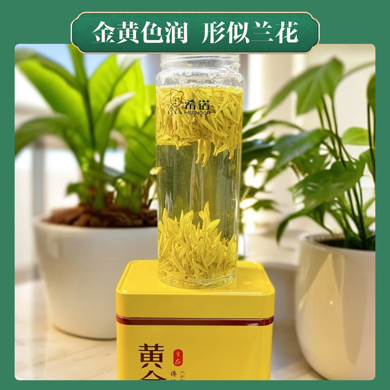 2026黄金芽茶叶春茶新茶豆香浓郁茶礼安吉母树