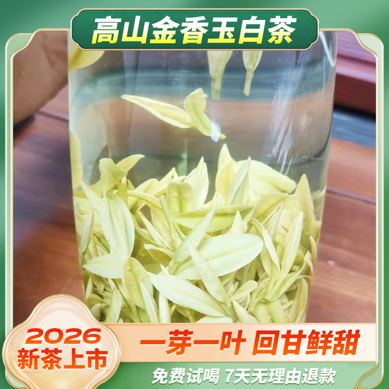 2026高山金香玉白茶送礼一芽一叶回甘鲜甜安吉正宗核心