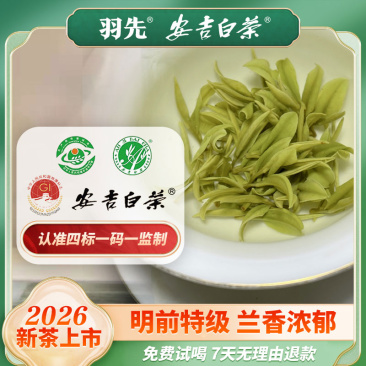 2026新茶明前特级安吉白茶兰香茶叶绿茶正宗B45