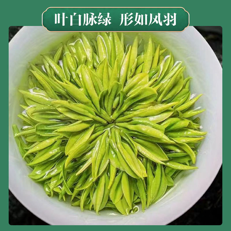 2026新茶明前特级安吉白茶兰香茶叶绿茶正宗B45