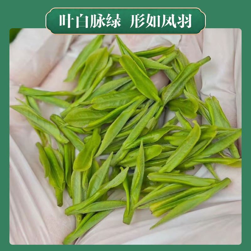 2026新茶明前特级安吉白茶兰香茶叶绿茶正宗B45