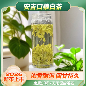 2026口粮白茶春茶新茶浓香耐泡回甘持久安吉原产地