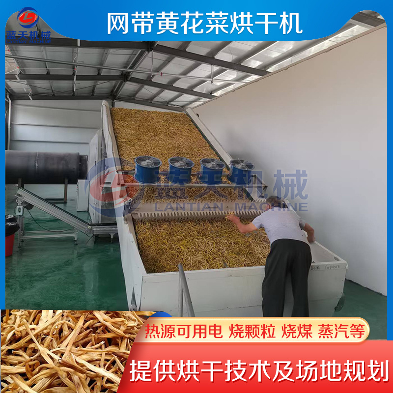 黄花菜烘干机黄花菜杀青烘干流水线鲜黄花金针菜烘干设备