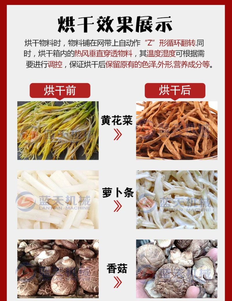 黄花菜烘干机黄花菜杀青烘干流水线鲜黄花金针菜烘干设备