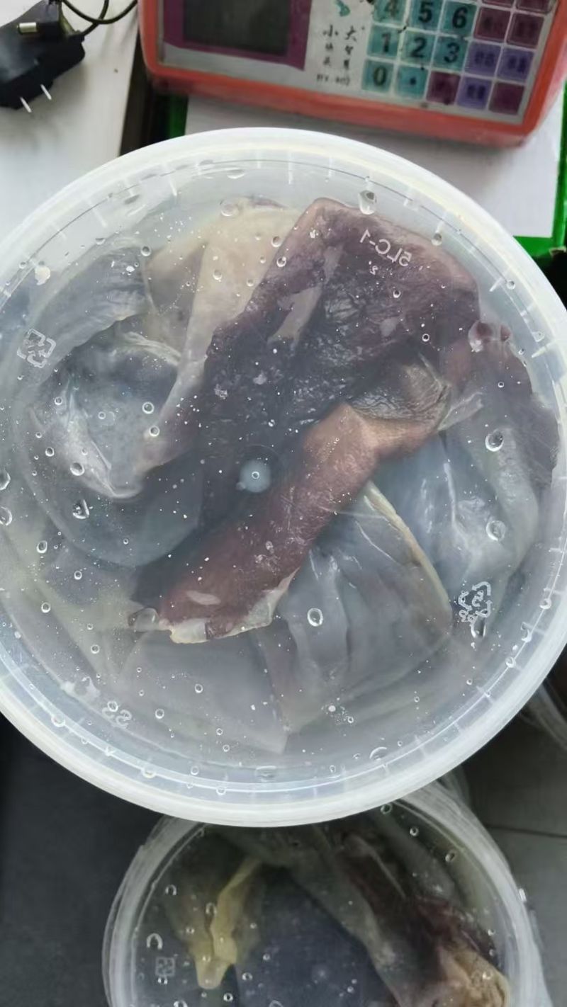 三矾海蜇皮子、海蜇头子