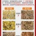 橙子渣烘干机柠檬渣水果渣烘干设备鲜果皮橘子渣干燥机