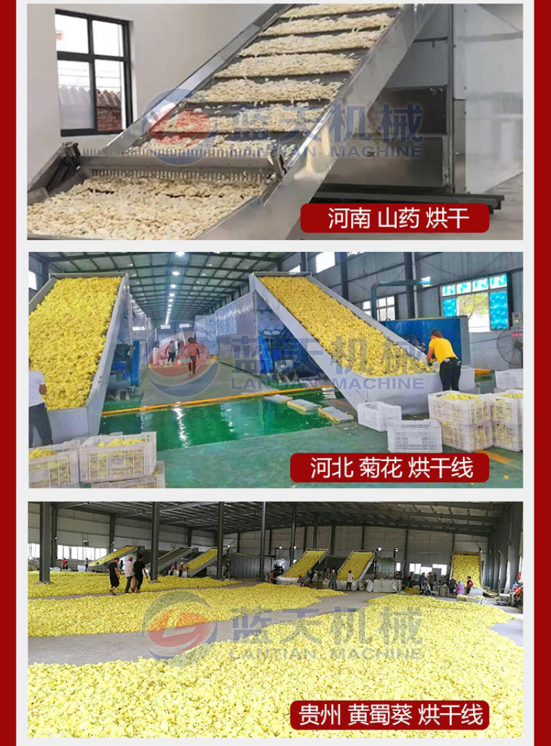 橙子渣烘干机柠檬渣水果渣烘干设备鲜果皮橘子渣干燥机