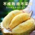 【一件代发】金枕头冷冻榴莲肉顺丰支持各大电商平台代发