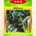 皱叶菜种子叶用羽衣甘蓝黑甘蓝皱叶甘蓝褶皱菜春秋蔬菜种子