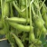 临沂毛豆精挑细选颗粒饱满网兜袋子按需分拣打包全国接单