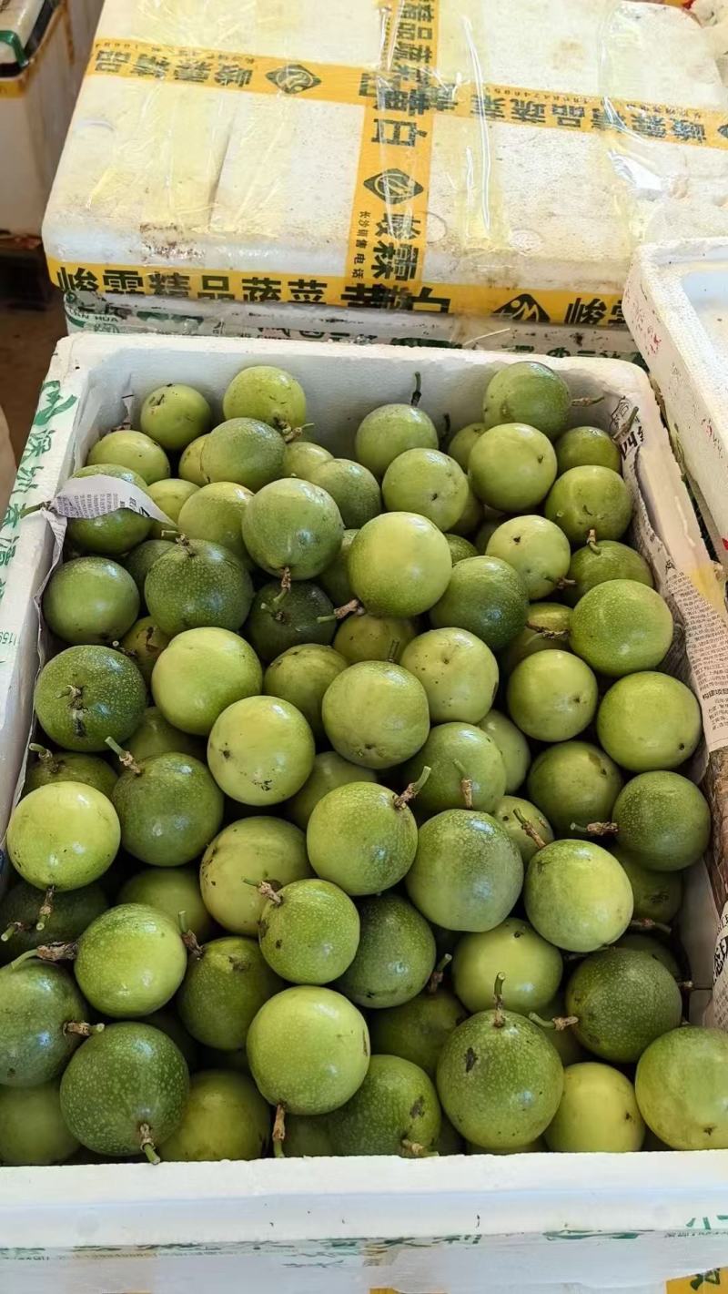 百香果钦蜜9号产地直发价格优惠欢迎致电