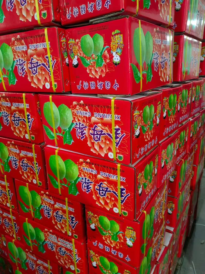 库尔勒香梨，批发，代办，对接一件代发，电商，市场，欢迎联