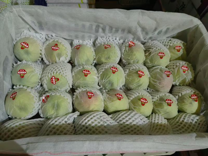 库尔勒香梨，批发，代办，对接一件代发，电商，市场，欢迎联