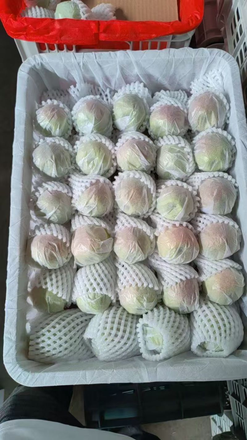 库尔勒香梨，批发，代办，对接一件代发，电商，市场，欢迎联