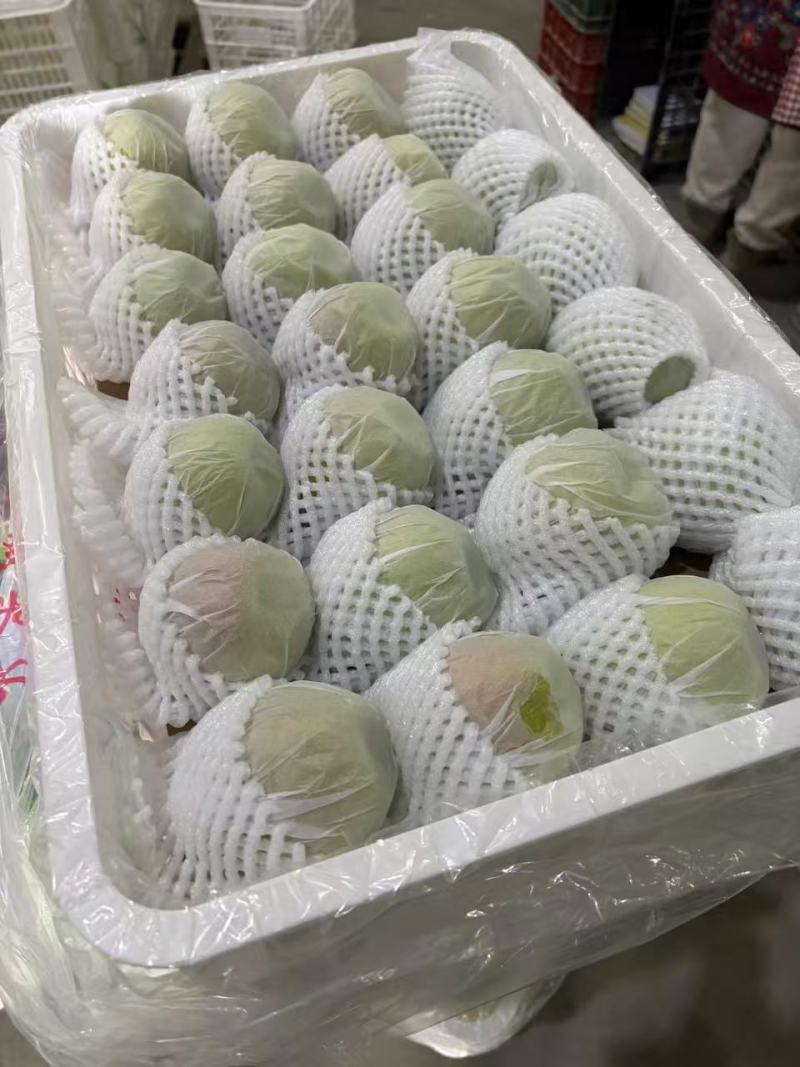 库尔勒香梨，批发，代办，对接一件代发，电商，市场，欢迎联