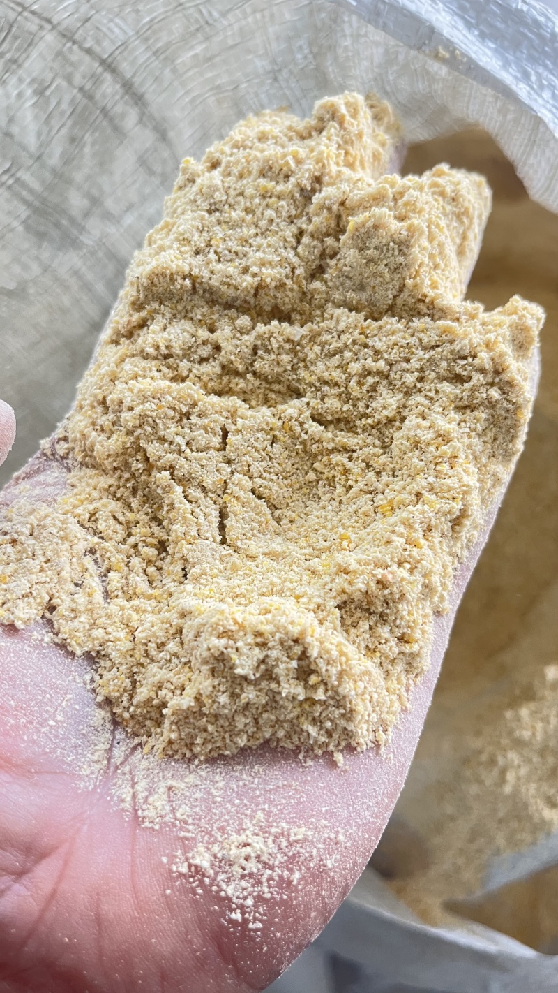 玉米次粉，基地直发，品质保障，量大从优