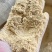 玉米次粉，基地直发，品质保障，量大从优