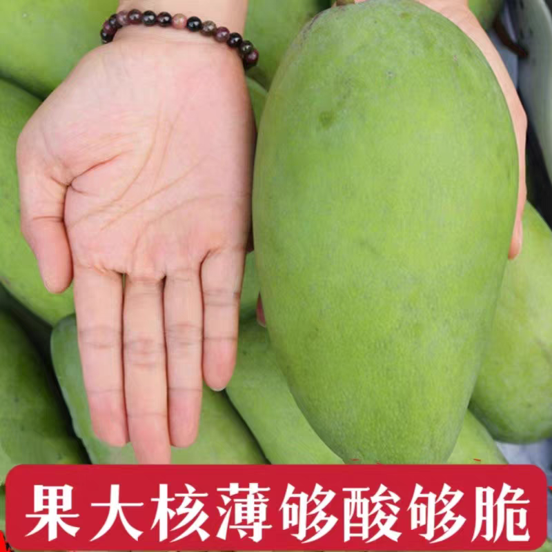 【芒果】纯甜大青芒皮薄肉厚承接电商商超一件代发等
