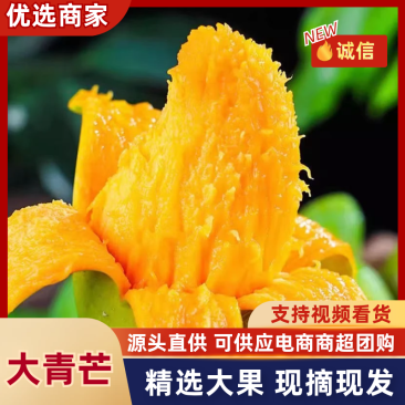 【芒果】纯甜大青芒皮薄肉厚承接电商商超一件代发等