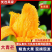【芒果】纯甜大青芒皮薄肉厚承接电商商超一件代发等