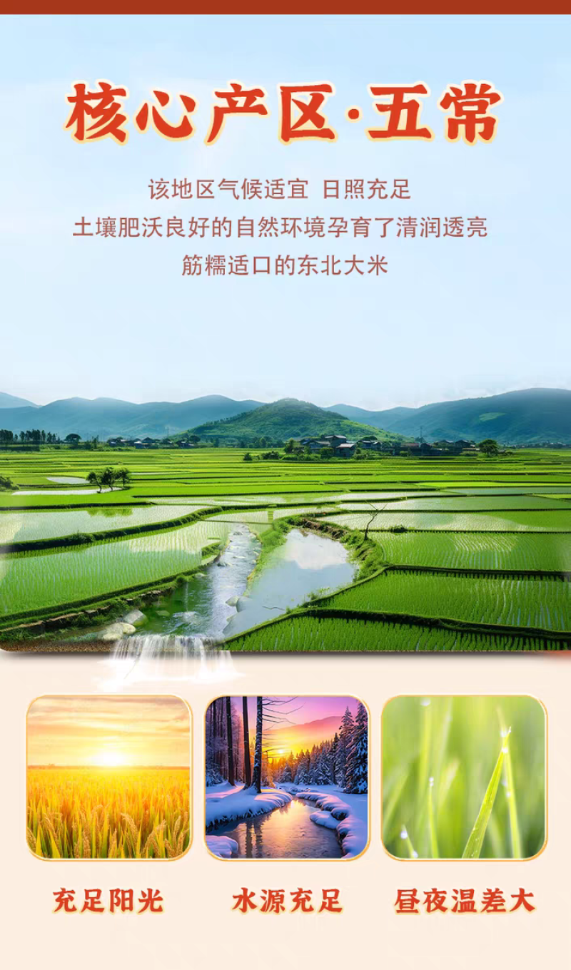 包邮正宗五常一级优质长粒香中科发五优质香米批发
