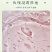 巨型一号香氛沐浴露
