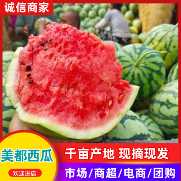 【精品美都西瓜】湖北基地直供质量保证货源充足全国发