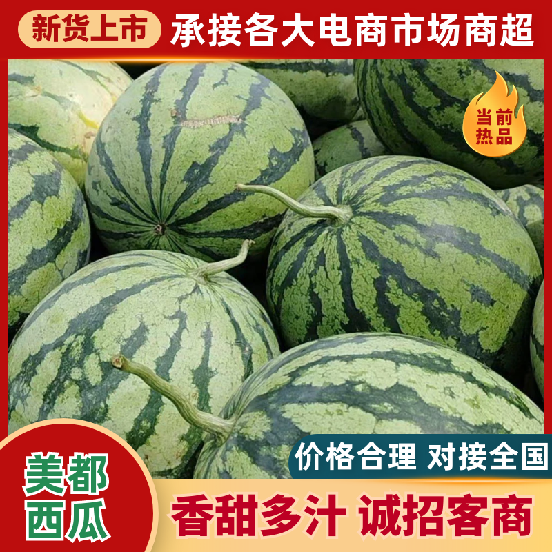 【精品美都西瓜】湖北基地直供质量保证货源充足全国发