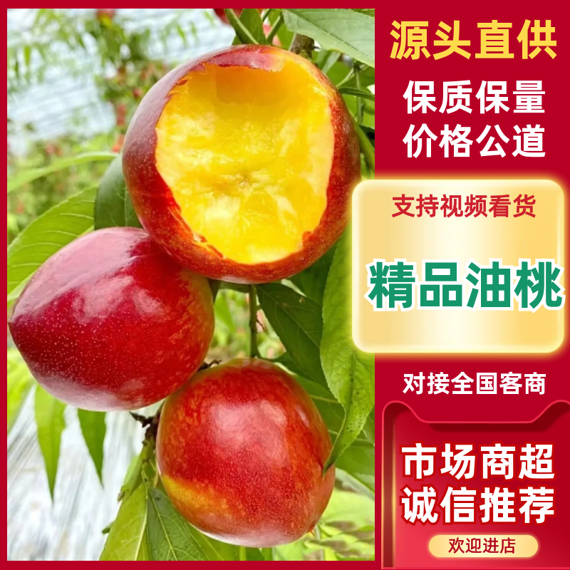 【精品】油桃湖北基地直发规格品种齐全承接各大市场超市等