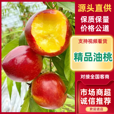 【推荐】湖北油桃大量上市基地直发价格美丽欢迎来电洽谈