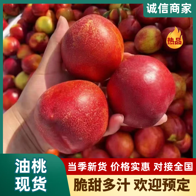 【推荐】湖北油桃大量上市基地直发价格美丽欢迎来电洽谈