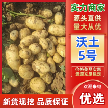 【推荐】沃土土豆黄心土豆现挖现发一手货源对接全国走货