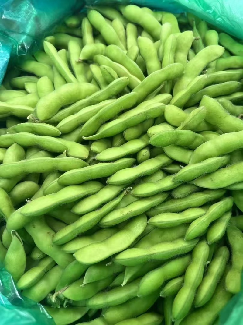 临沂毛豆精挑细选颗粒饱满网兜袋子按需分拣打包全国接单