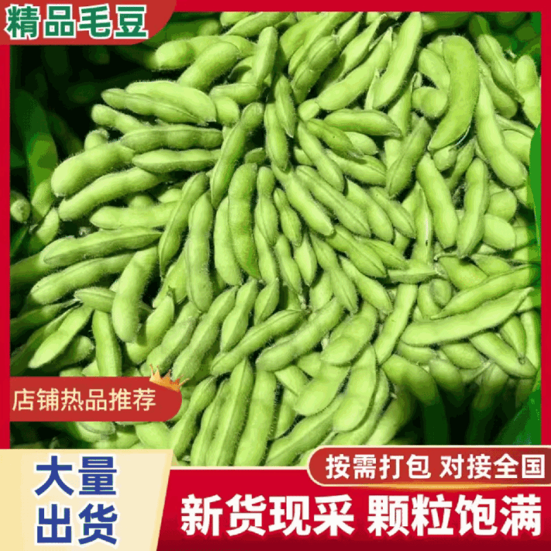 临沂毛豆精挑细选颗粒饱满网兜袋子按需分拣打包全国接单