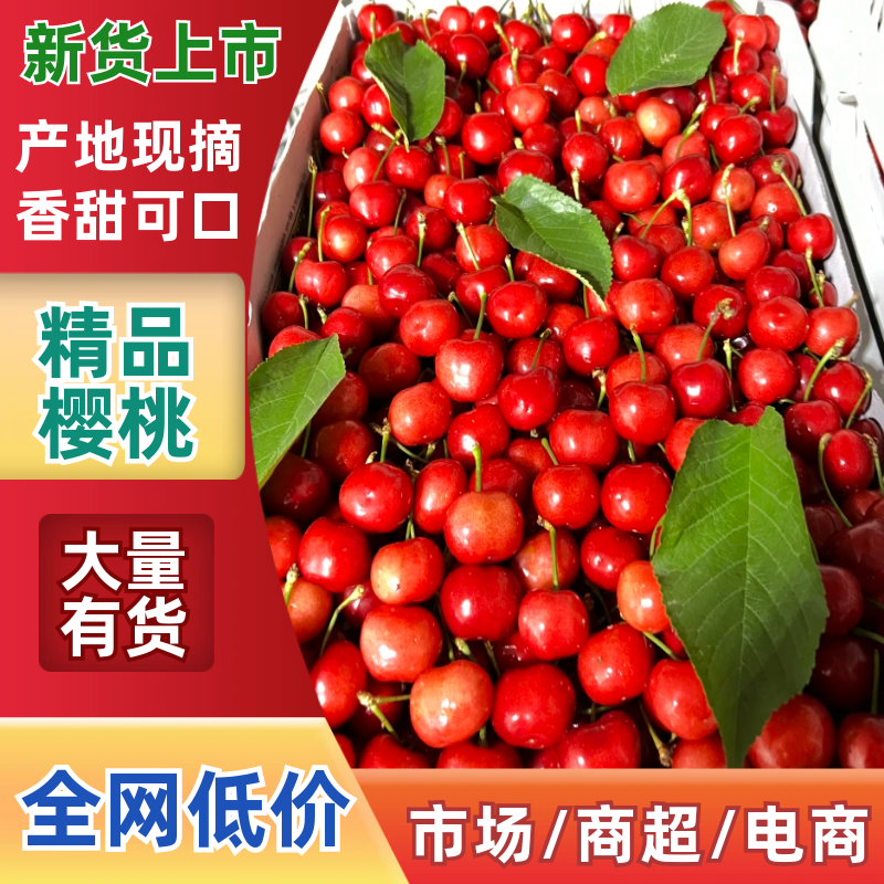 红灯大樱桃，支持一件代发，现货速发，保质保量，欢迎选购