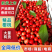 今天5月3号泰安露天早大果上市了，需要的客户可以联系我了