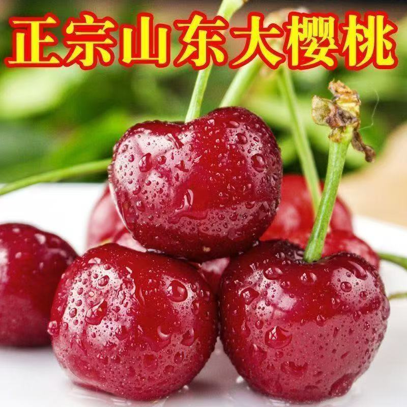 山东泰安万亩大樱桃基地五一开始大量上市需要的客户可以联了