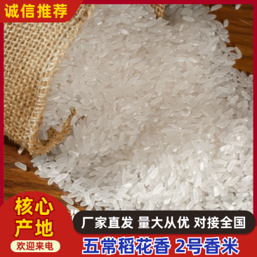 包邮五常稻花香2号香米基地核心产区自产自销诚信经营