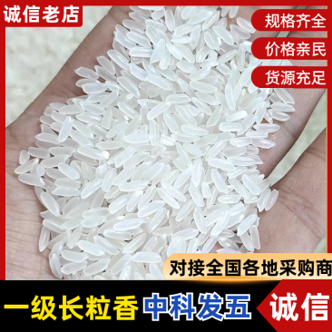 包邮正宗五常一级优质长粒香中科发五优质香米批发