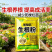 生根壮苗粉植物快速生根粉生根剂30克生根壮苗剂促长