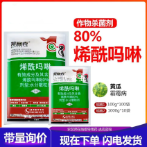 80%烯酰吗啉霜霉晚疫病农药杀菌剂蔬菜霜霉杀菌剂烯酰吗啉