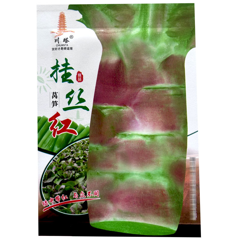 圆叶挂红丝莴笋种子莴苣耐热红皮5g四季种植大田基地