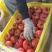 泾阳普罗旺斯西红柿🍅沙瓤爆汁酸甜爽口地标认证果型饱满