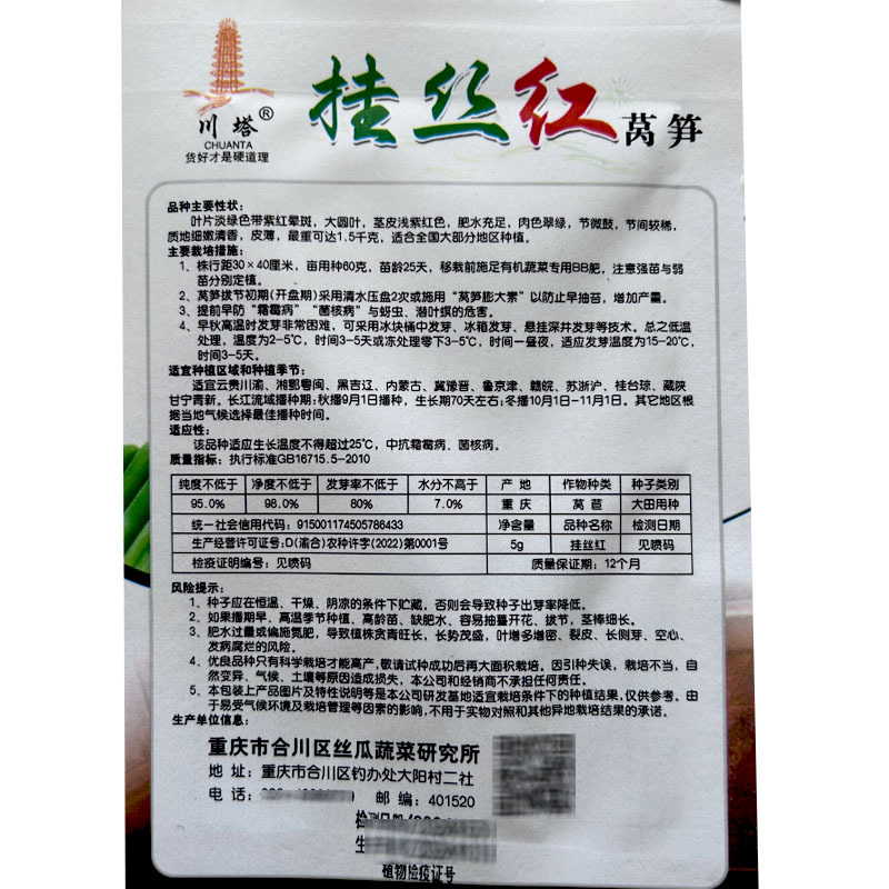 圆叶挂红丝莴笋种子莴苣耐热红皮5g四季种植大田基地
