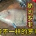 广东脆肉罗非鱼基地一手货源全国发货可视频看货