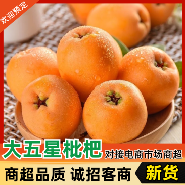 枇杷/四川枇杷/大五星枇杷品质保证诚信经营