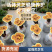 鹿角灵芝菌棒/赤灵芝菌包可食用菌种易管理好养活
