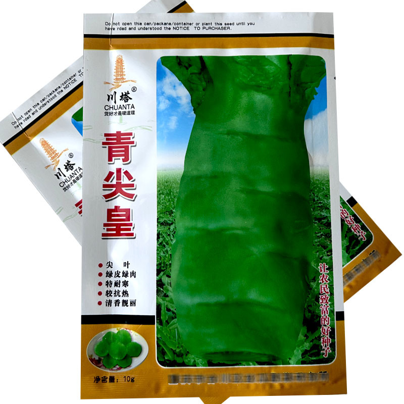 川塔青尖皇绿皮绿肉尖叶莴笋种子耐热耐寒莴苣肉质脆嫩