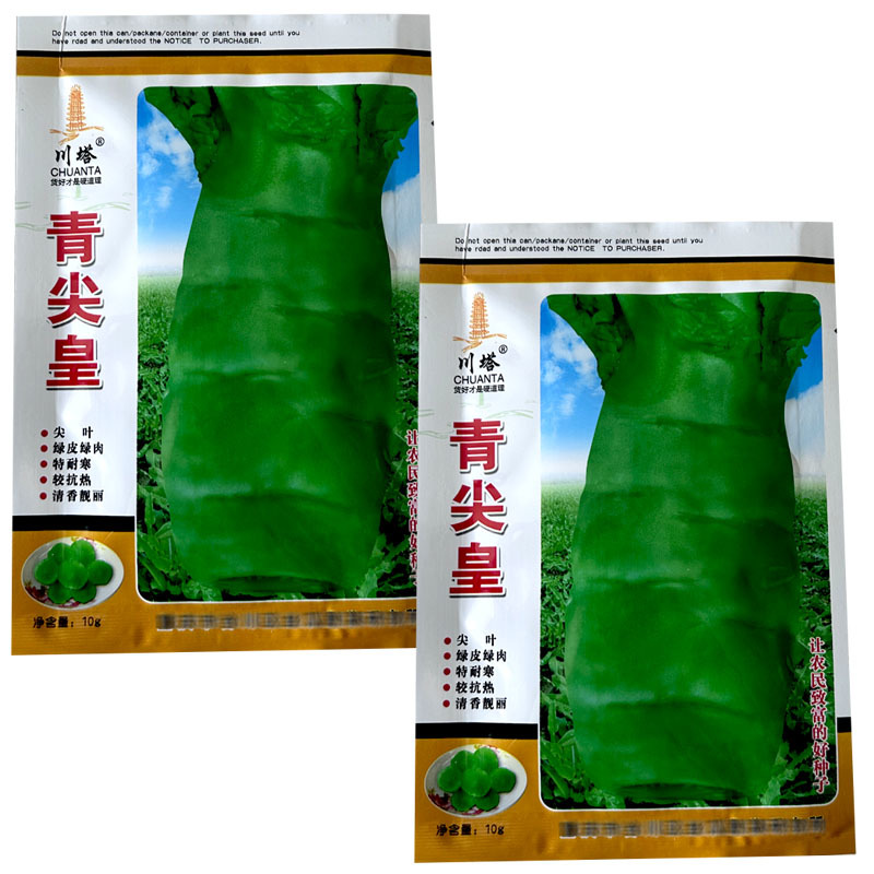 川塔青尖皇绿皮绿肉尖叶莴笋种子耐热耐寒莴苣肉质脆嫩